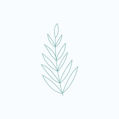 Fototapeta premium Eucalyptus leaf vector illustration. green flat style leaves