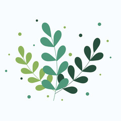 eucalyptus silver dollar leaf vector illustration. green flat style leaves