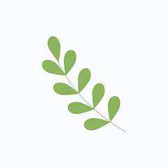 Obraz premium eucalyptus silver dollar leaf vector illustration. green flat style leaves