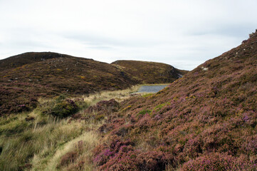 Tiny lake Slievenalogh on top of the mountain of the same name.Cooley Peninsula.Ireland.