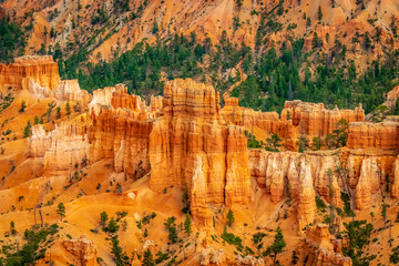Hoodoos in Bryce Amphitheater