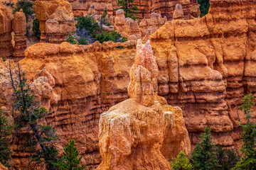 Hoodoos in Bryce Amphitheater