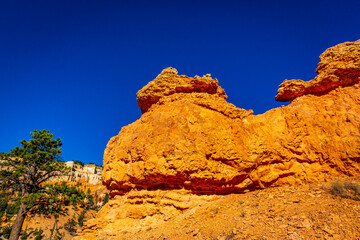 Hoodoos in Bryce Amphitheater