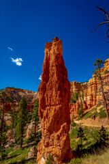 Hoodoos in Bryce Amphitheater