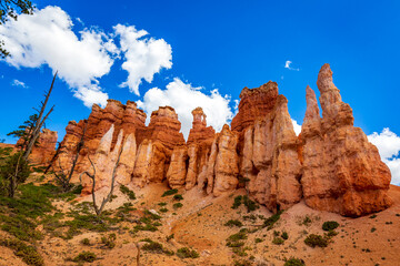 Fototapeta premium Hoodoos in Bryce Amphitheater