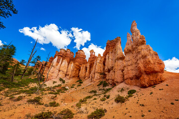 Hoodoos in Bryce Amphitheater