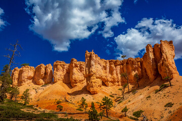 Fototapeta premium Hoodoos in Bryce Amphitheater