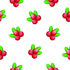 Seamless Pattern Abstract Elements Red Lingonberry Food Vector Design Style Background Illustration