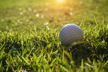 Golf ball on green in beautiful golf course at sunset background.