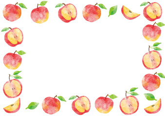 リンゴ_フレーム_水彩02