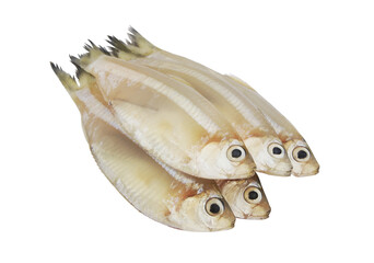 Several white sardine fishes isolated on white background, Escualosa thoracata