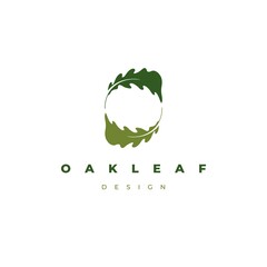 Oak leaf logo design illustration vector template