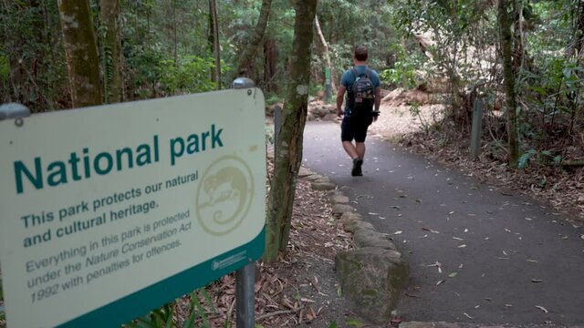 Man Walking Through Lamington National Park Rainforest in Australia
