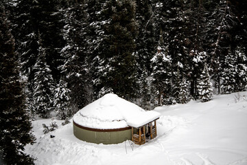 Little Yurt
