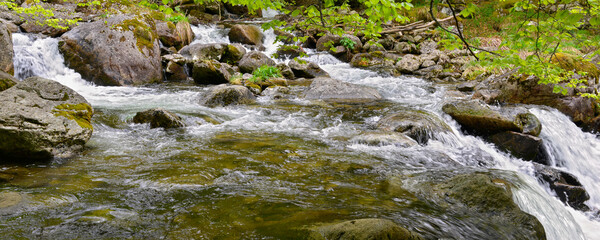 Panoramique révérence feuillue sur le torrent des cascades d'Ars à Aulus-les-Bains (09140),...