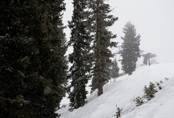 Foggy Top of Chairlift