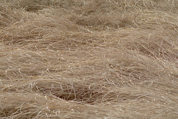 straw bale background
