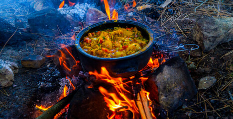 pictures of the wonderful nature in the forest 