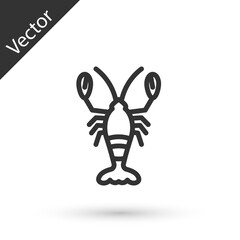 Grey line Lobster icon isolated on white background. Vector.