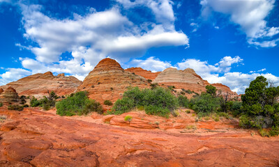 Sandstone formations in Coyote Butte North