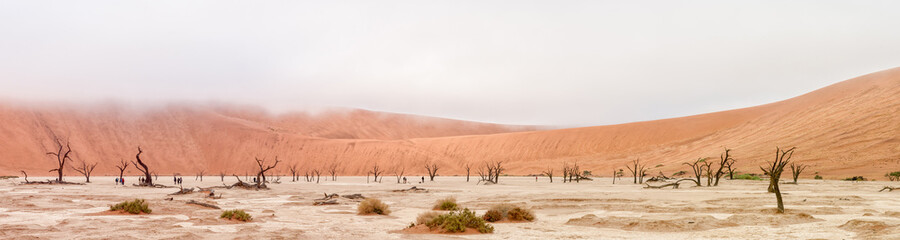 Fototapeta na wymiar Panorama of Deadvlei near Sossusvlei in Namibia