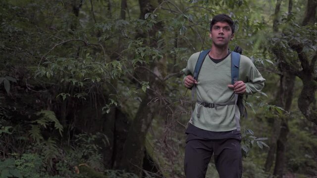 Young Indian boy exploring a jungle with a backpack