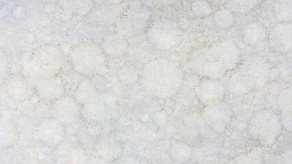 Close up white texture of concrete wall use for web design and abstract texture background