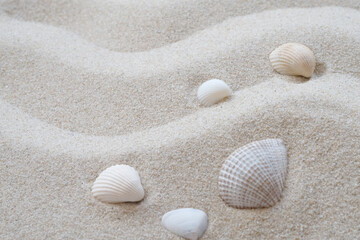 Fototapeta na wymiar Blurred white sand wave texture with shell use for holiday and summer background