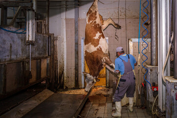 Carcass in a cow slaughterhouse