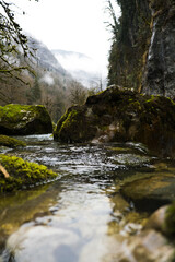 Swirling mountain river flows among rocks covered with green moss and trees