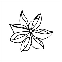 star anise. Doodle. Black and white image. Minimalism. For menu design and more. Vector graphics. Isolated on white background.