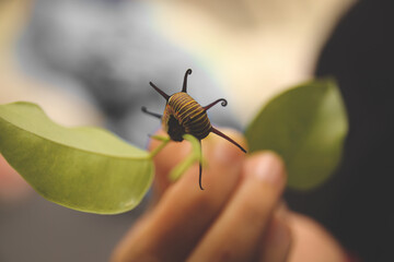 Holding a leaf with a caterpillar resting on it, showing concept of kindness, connection to nature and the coming of spring time