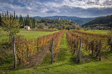Fototapeta na wymiar Village Kubed in Istria with vineyards in the foreground, Slovenia