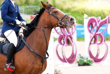 Fototapeta premium A red sports horse with a bridle and a rider riding with his foot in a boot with a spur in a stirrup.