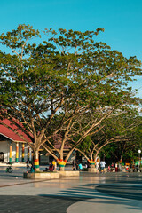 Trees at the siak park and people walking around the streets, Riau Indonesia