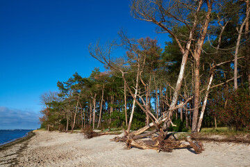 Palmer Ort auf Rügen	