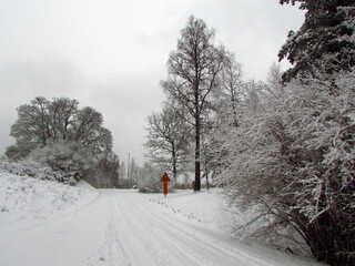 snowy road