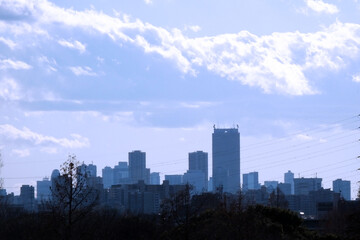 Fototapeta premium 公園から望む都会 ビルのシルエット