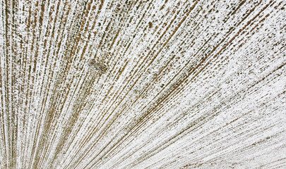 Texture of snowy winter agro field for background