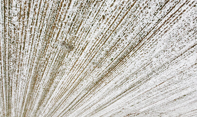 Fototapeta premium Texture of snowy winter agro field for background