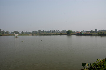 prawn cultivation firm at sundarban of west bengal