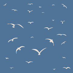 White seagulls or birds on dark blue background