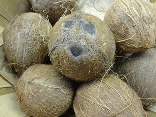 Cute hairy coconut with smiley face 