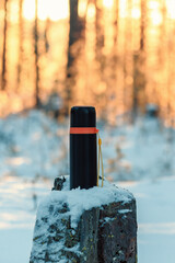 Thermos on pine stump in the winter forest. Winter hike and recreation concept.