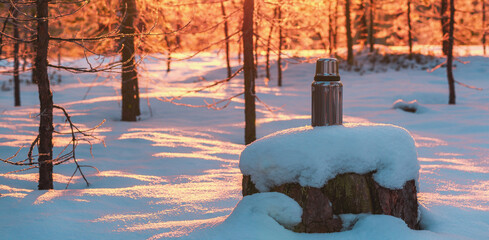 Thermos on pine stump in the winter forest. Winter hike and recreation concept.