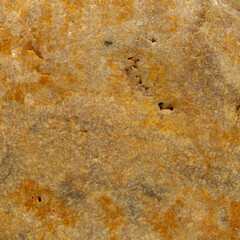 detail of a colored sea stone