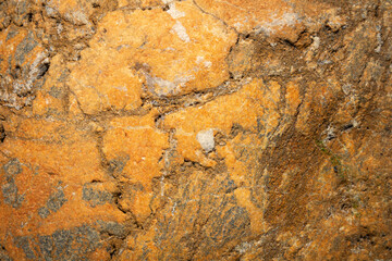 detail of a colored sea stone
