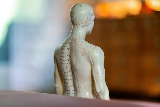 Close up of a male acupuncture doll