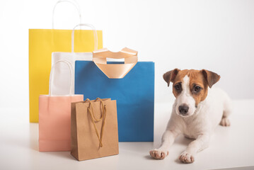 Jack russell terrier dog lies next to different paper bags on a white background. Sale season.