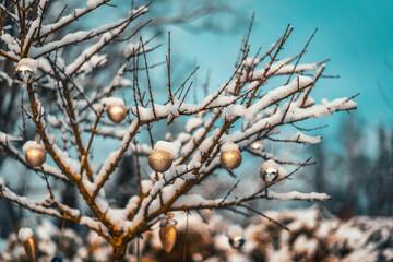 Christmas golden ball and tree branch with snow. Christmas decorations.